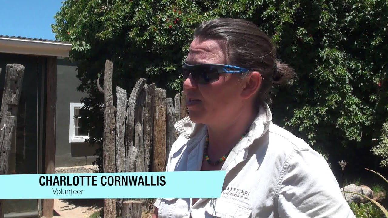 Shamwari Game Reserve Conservation Volunteer Programme