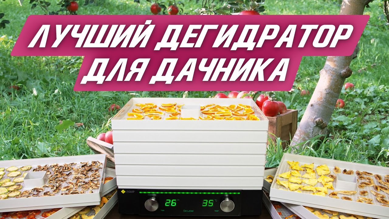 Лучший дегидратор для дачи! Обзор дегидратора. Как не ошибиться с выбором сушилки для фруктов