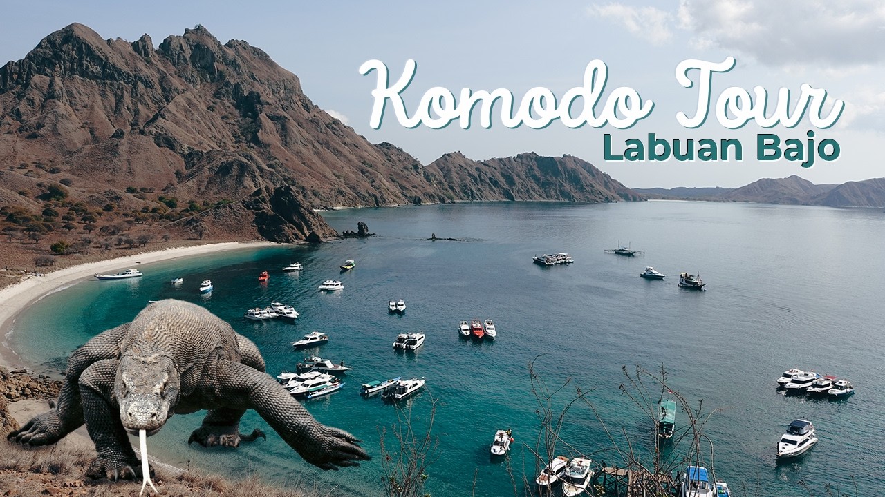 🇮🇩 Why You Can’t Miss the Komodo Tour in Labuan Bajo! | Day 5 [Eng Sub]