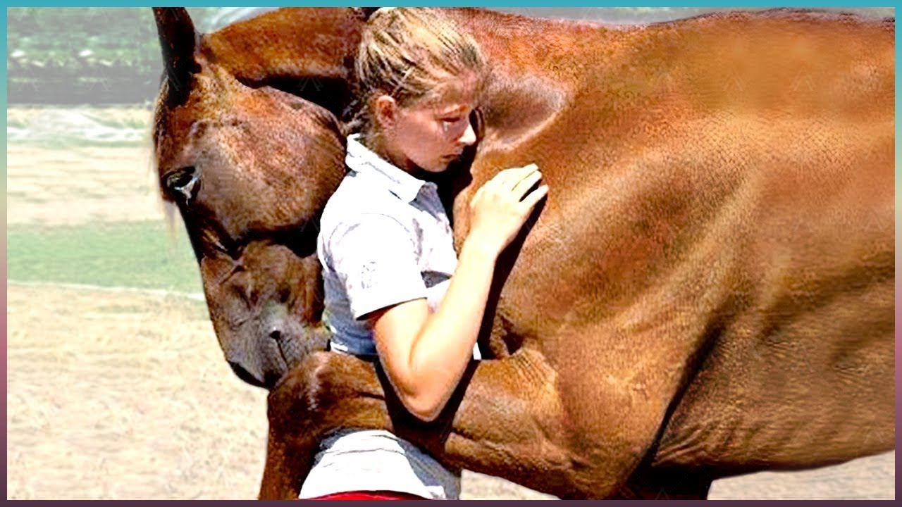 Animaux Qui Ont Demand&eacute; de L&rsquo;Aide Aux Humains!