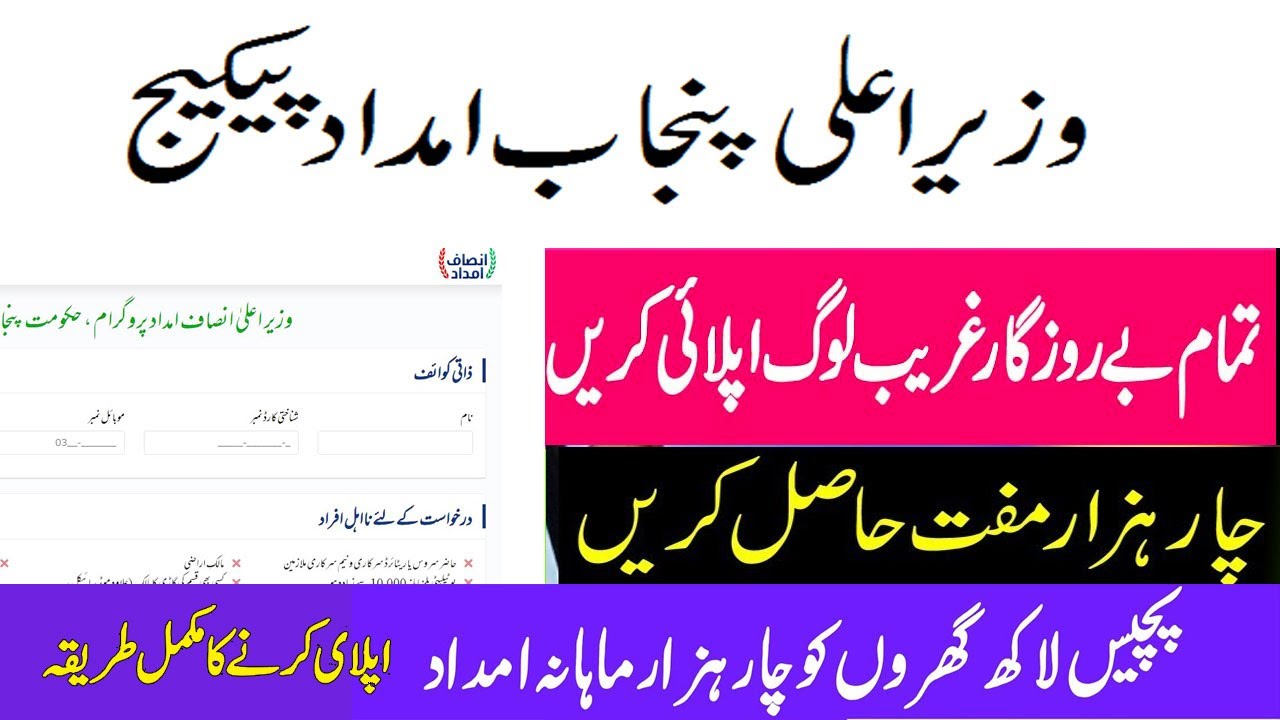 how apply for insaf imdad program complete guide