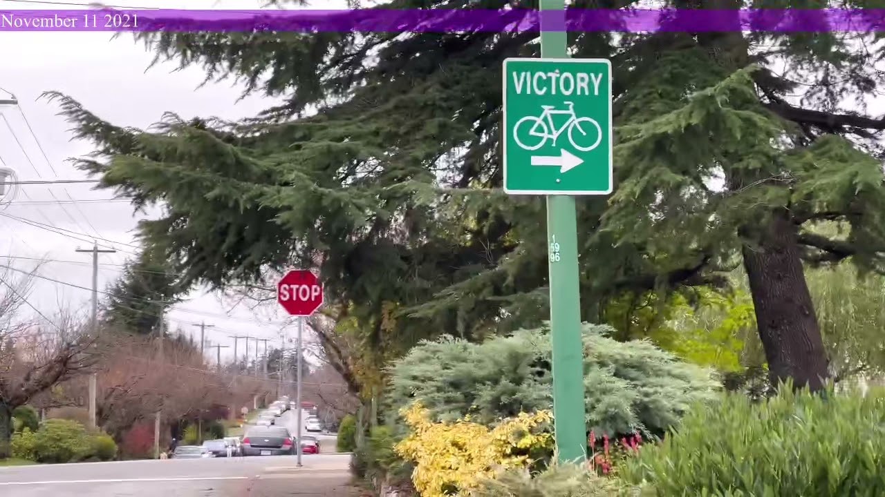 Walking vlog #1 (Rumble st)