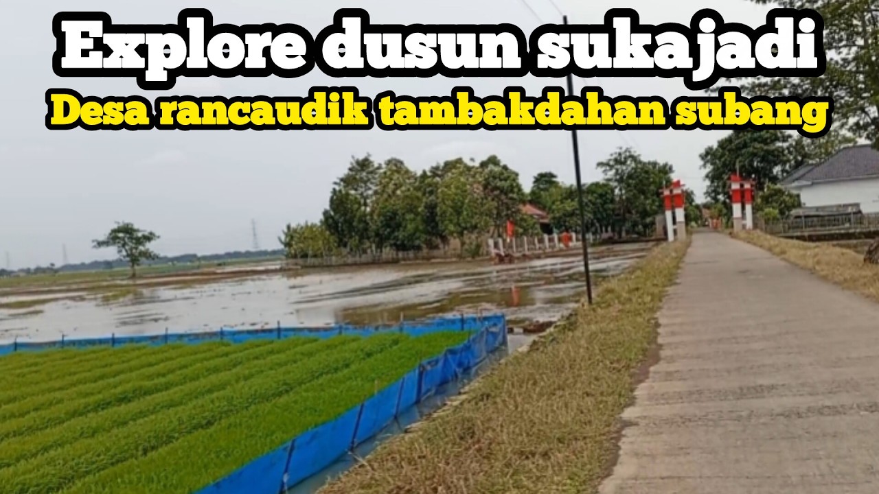 Explore dusun sukajadi desa rancaudik kecamatan tambakdahan subang