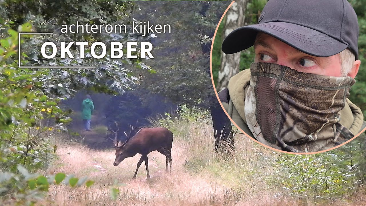 #121 - OKTOBER - achterom kijken