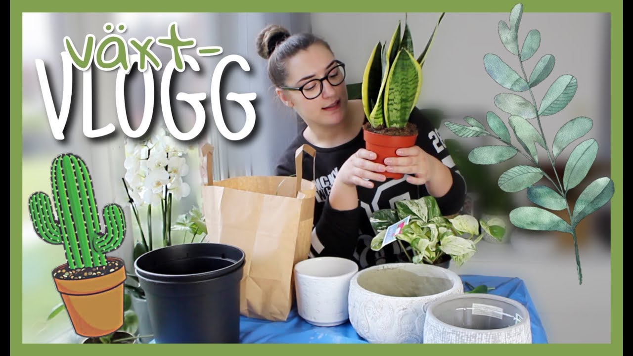 VLOGG | Växter – haul, plantering och rundtur | Dejana Pasic