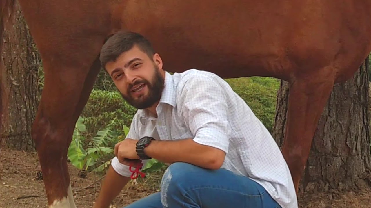 Como usar o Kit Raspadeira Multiuso no Cavalo?
