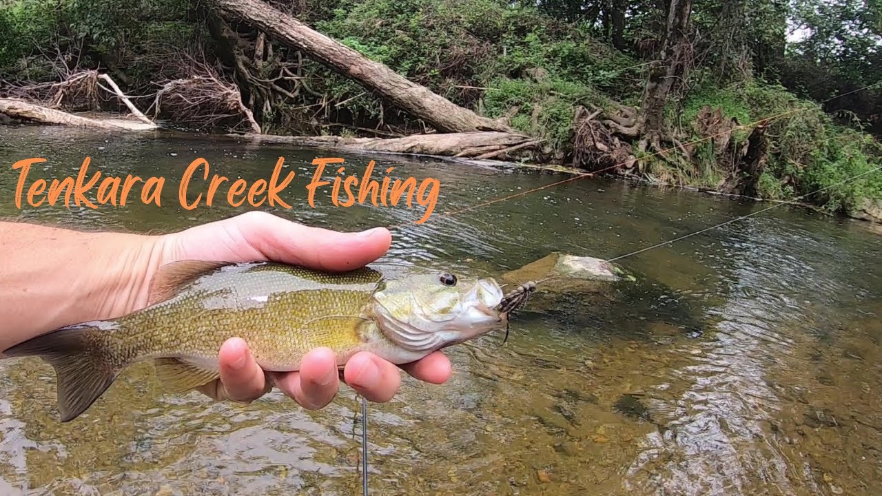 TENKARA Fly Fishing for BASS and SUNFISH