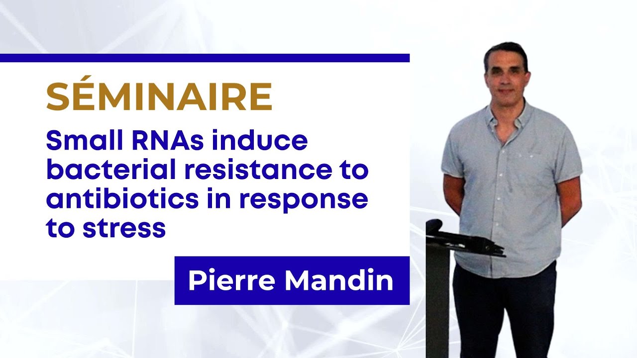 Pierre Mandin, Aix-Marseille Université, CRNS, laboratoire de chimie bactérienne