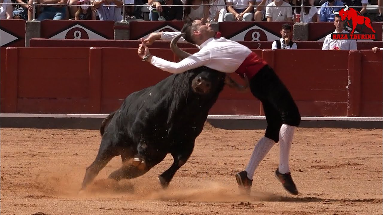Gran concurso goyesco de recortadores. Salamanca. 12 Septiembre 2021