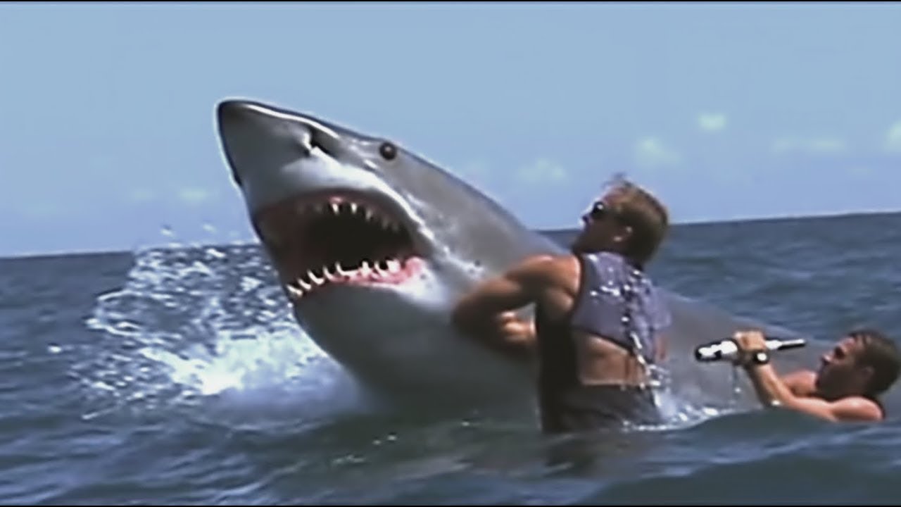 200 Scary and Unbelievable Moments Filmed at Sea!