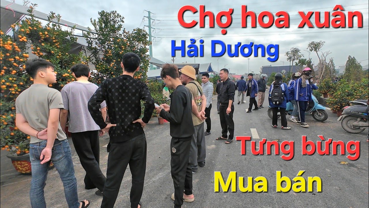 Tưng bừng chợ hoa xuân thị trấn Gia Lộc Hải Dương