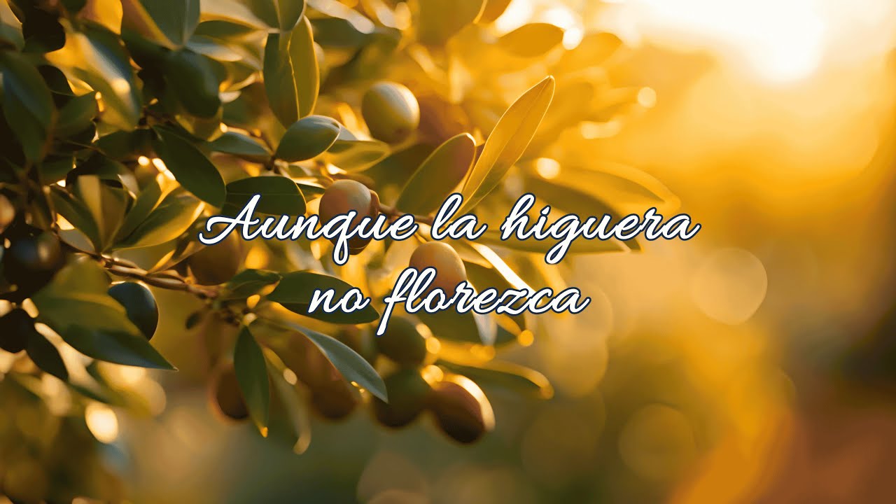 🎵 Aunque la higuera no florezca &ndash; MPJ Diciembre | Edici&oacute;n N&deg;9