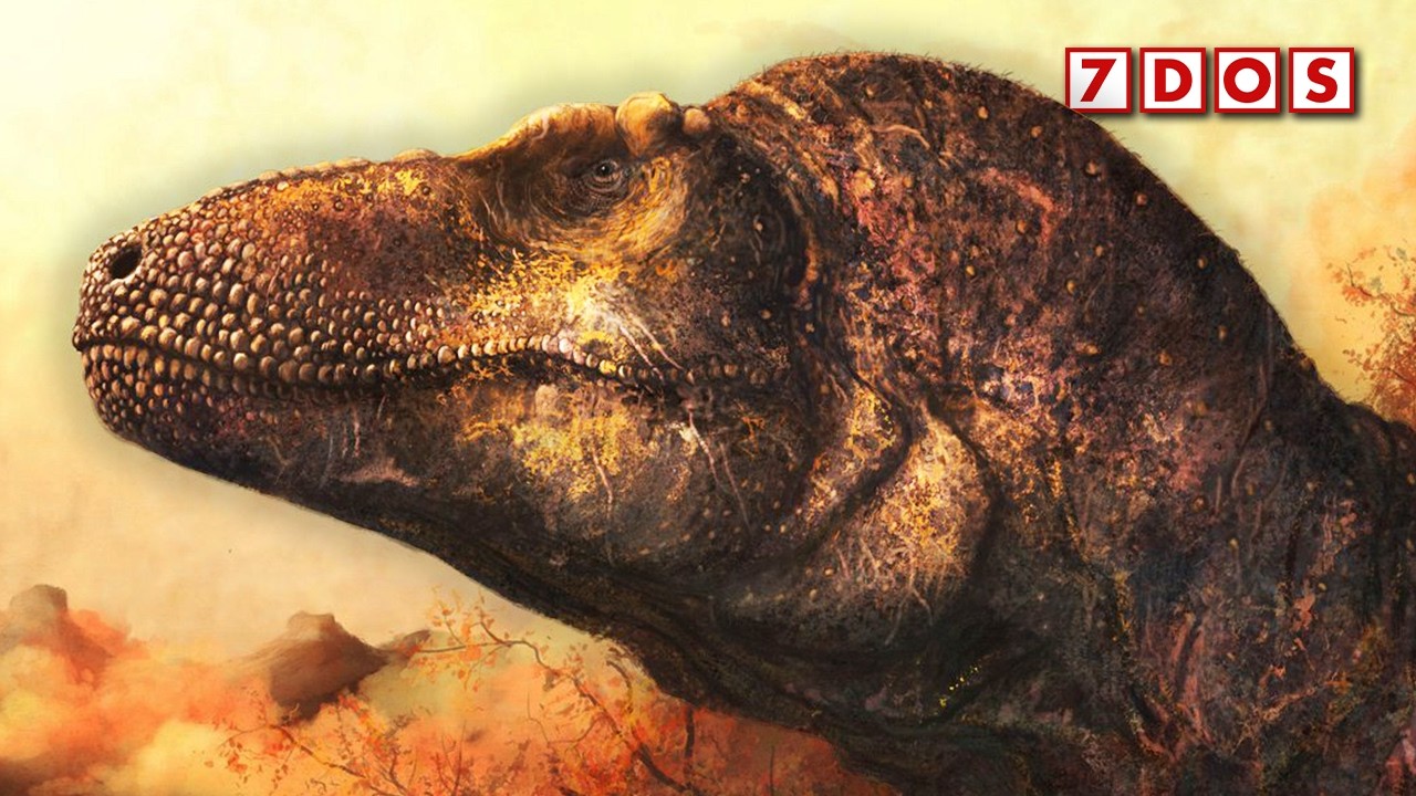 T. rex Had A Much Longer Lifespan Than We Realised