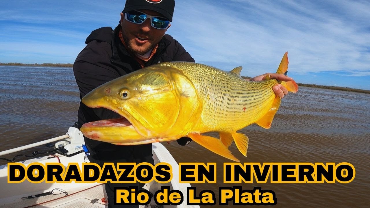 PESCA DE DORADOS EN EL RÍO DE LA PLATA 🔥 DORADOS CON SEÑUELO EN INVIERNO ‼️ DOURADO COM ISCA 🎣