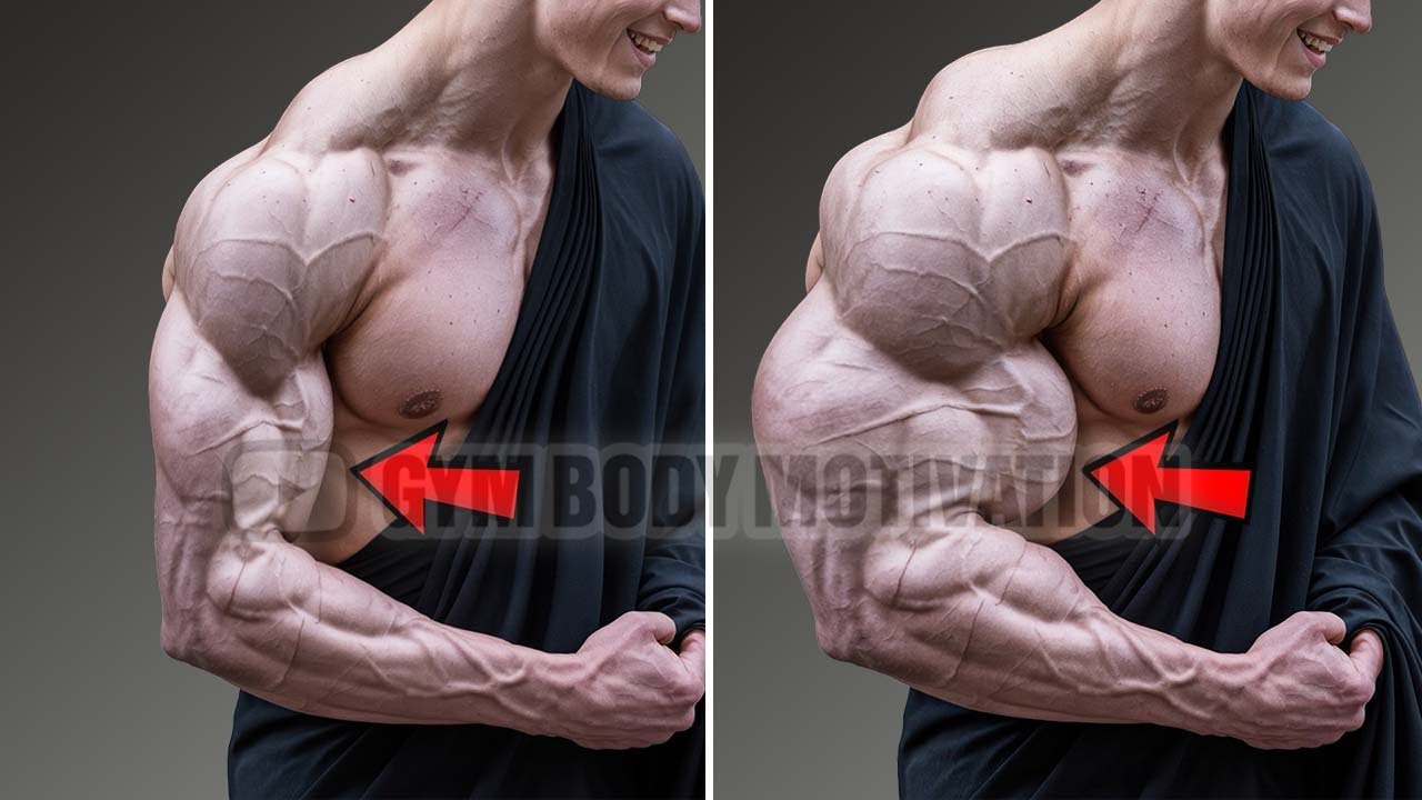 6 Best Biceps and Triceps Exercises For Huge Arms