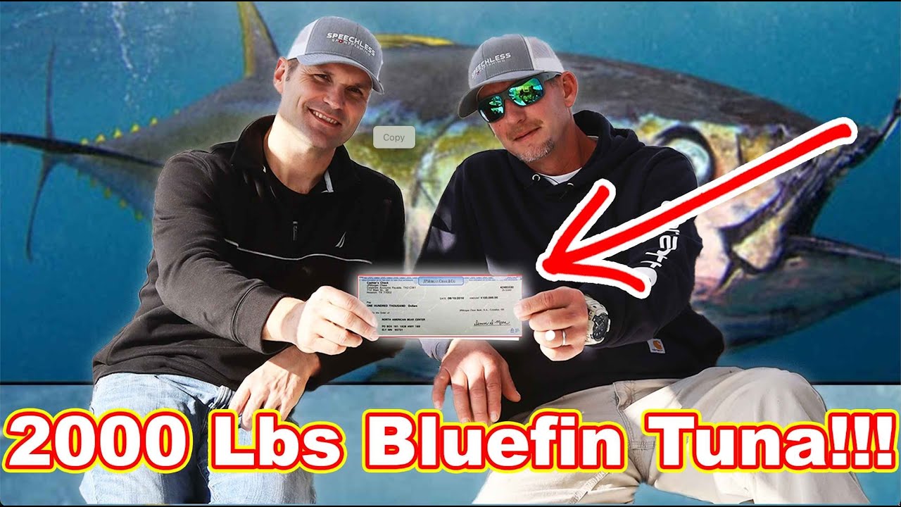 We Sold 2000lbs of Bluefin Tuna! Here's Exactly What We Got Paid (Much Less Than Wicked Tuna!!)
