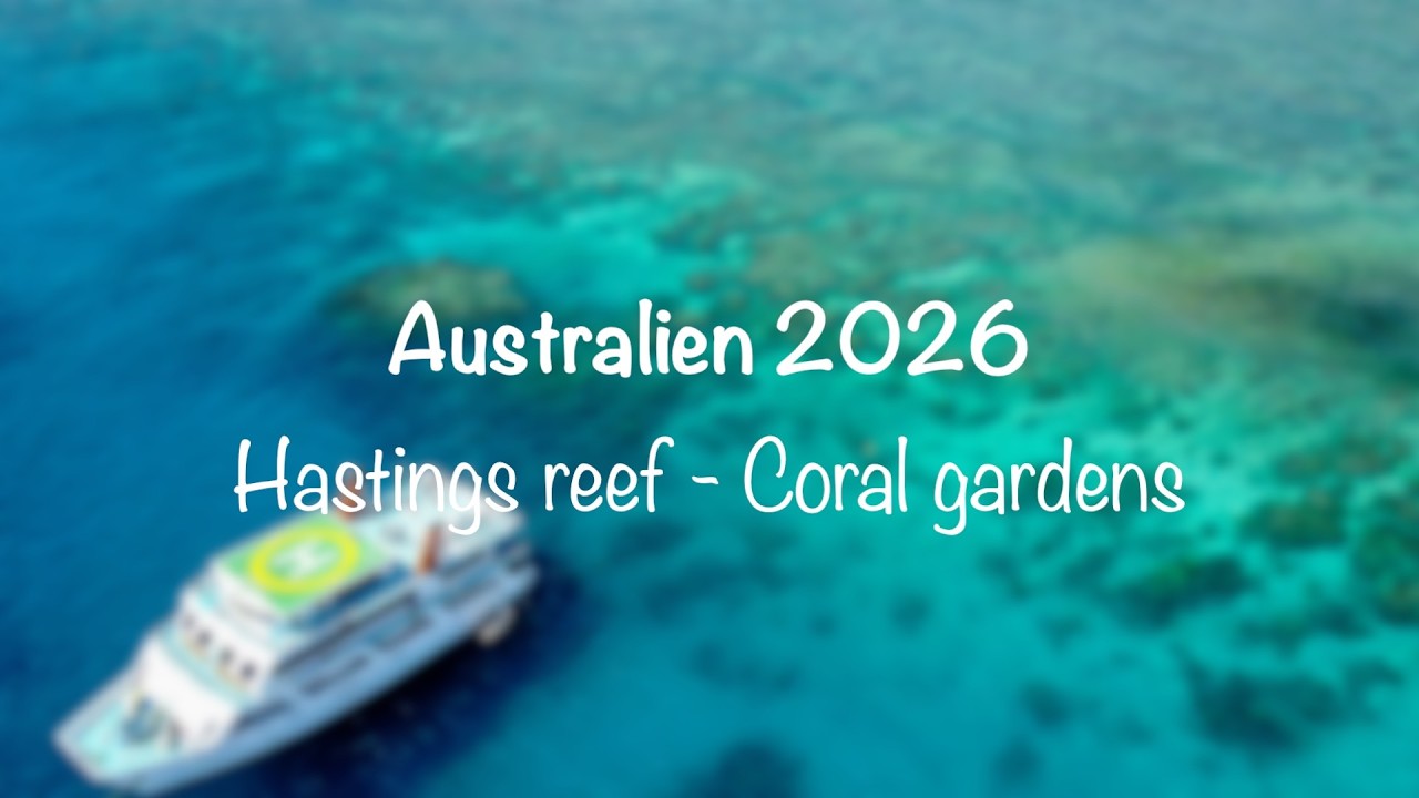 Australien 2026   Diving 2 Hastings Reef   Coral gardens   HD 1080p