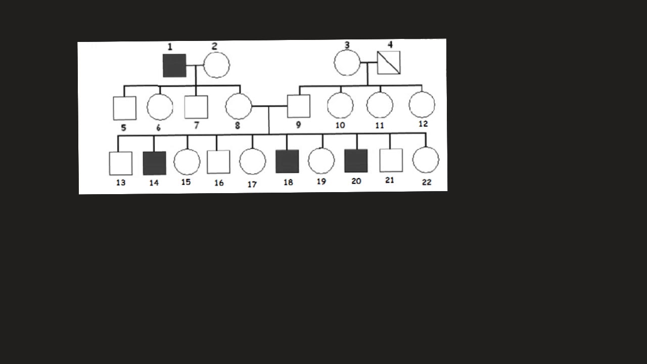 Grade 12 pedigree (4) localization of gene