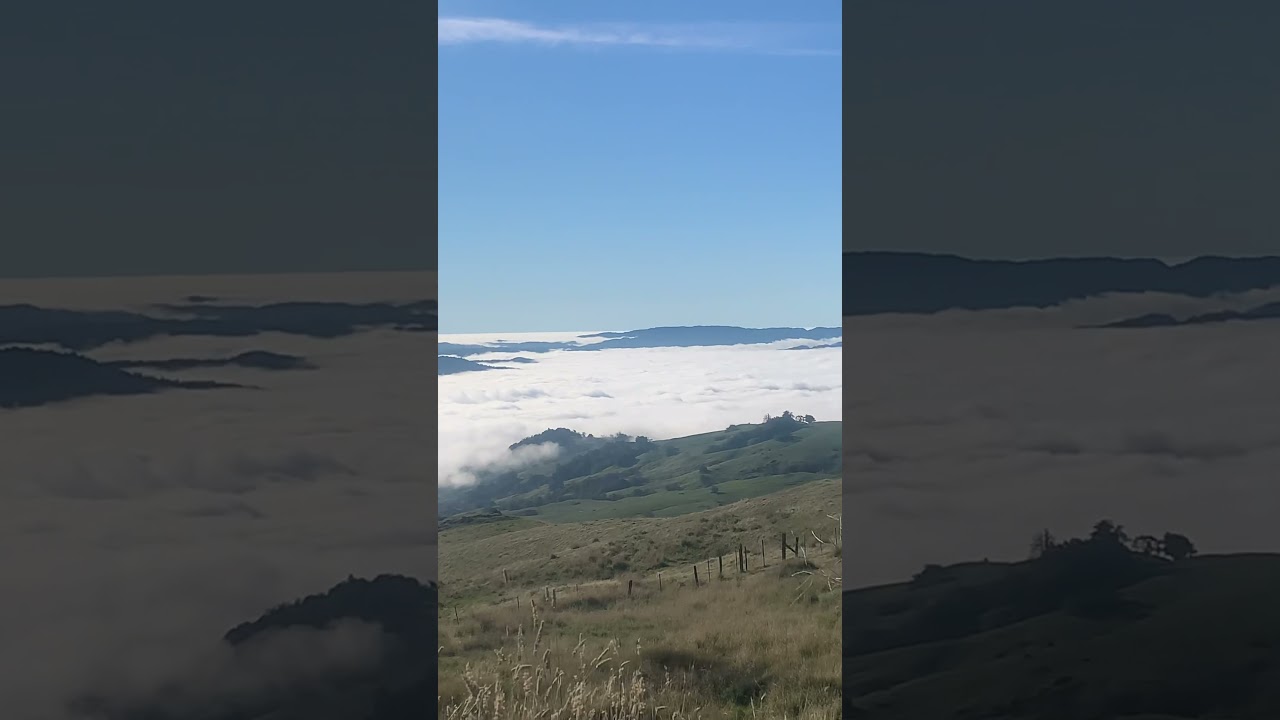 Southern Humboldt   My heaven on earth 🌎#sohum #humboldt #mountain #california