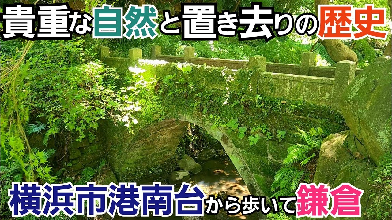 貴重な自然に触れ置き去りの歴史に思いを馳せる【港南台～鎌倉】