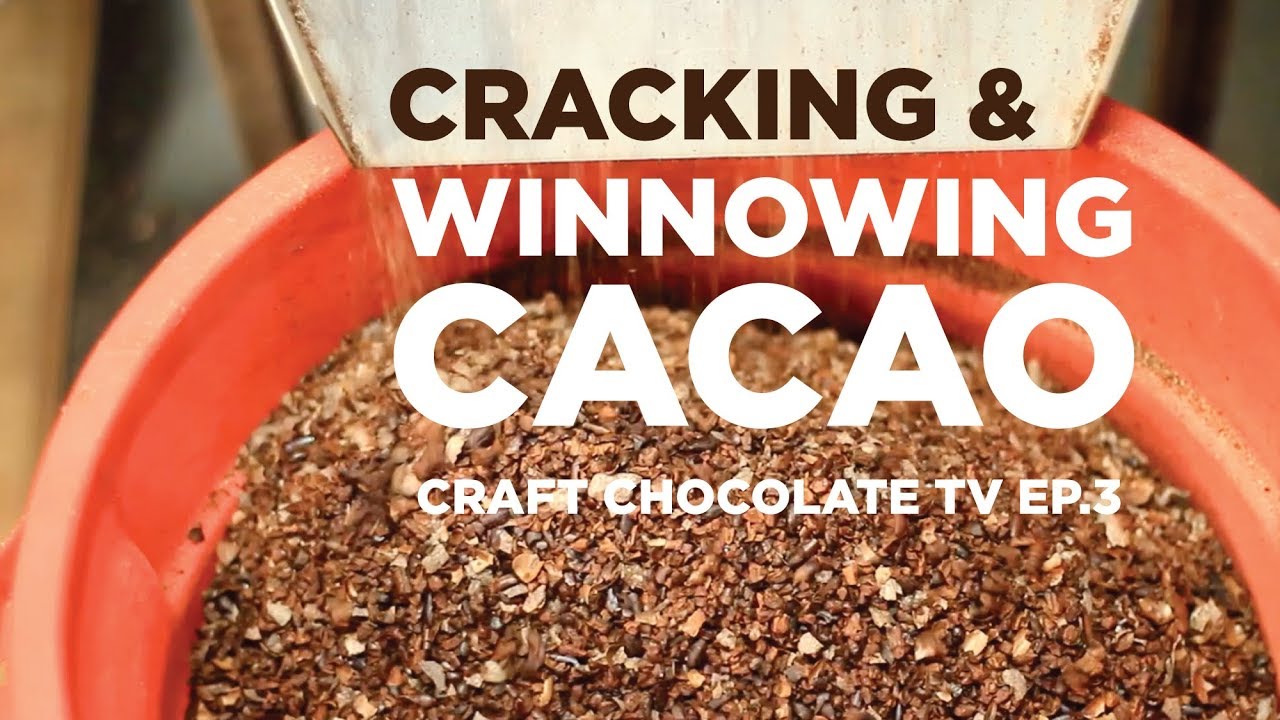 Cracking & Winnowing Cacao - Episode 3 - Craft Chocolate TV