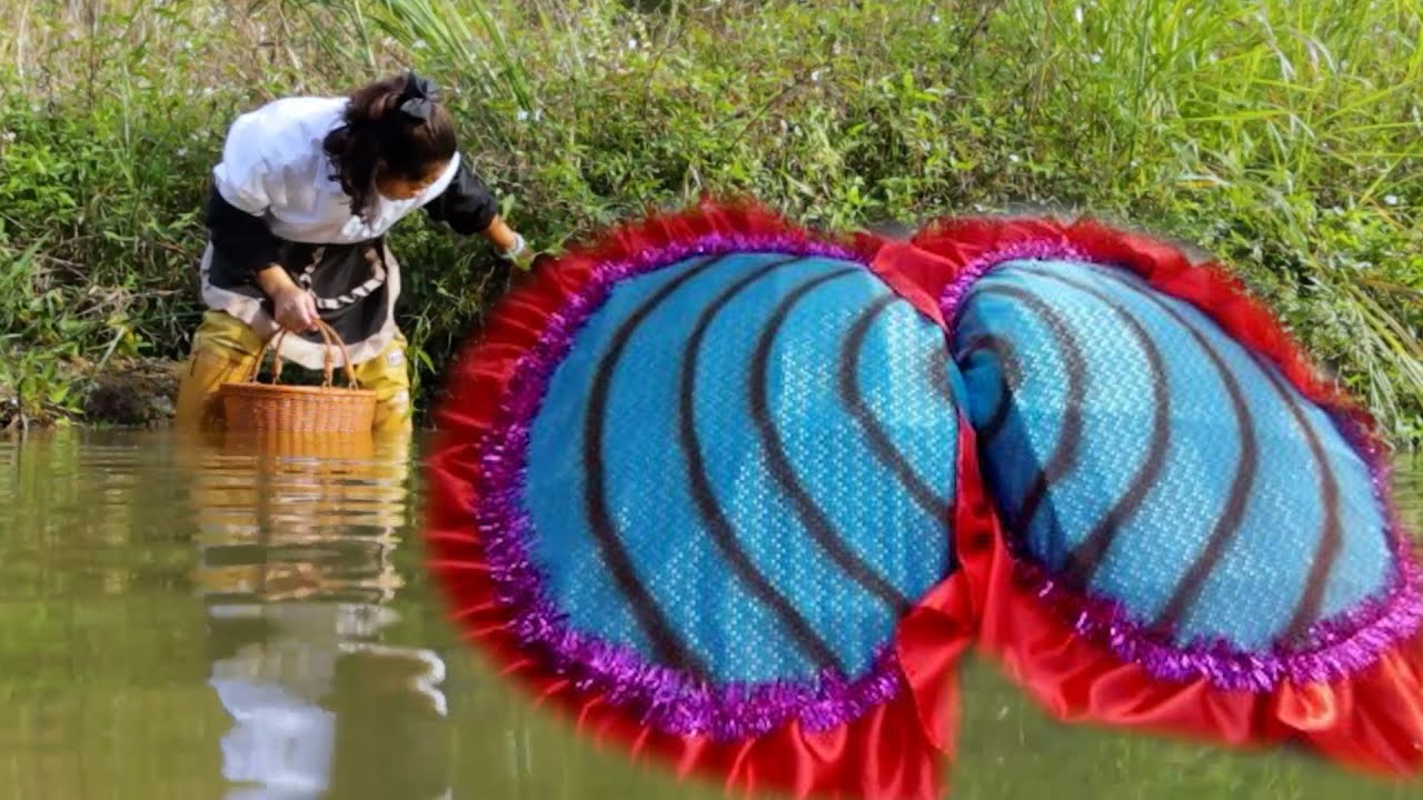 Wild river clams, the belly of giant mother clams is filled with black pearls