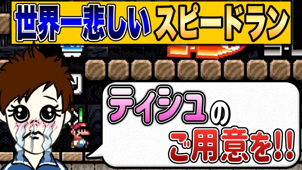 悲しい気持ちになりたくない人は見ないで下さい・・・。【マリオメーカー2/マリメ2】