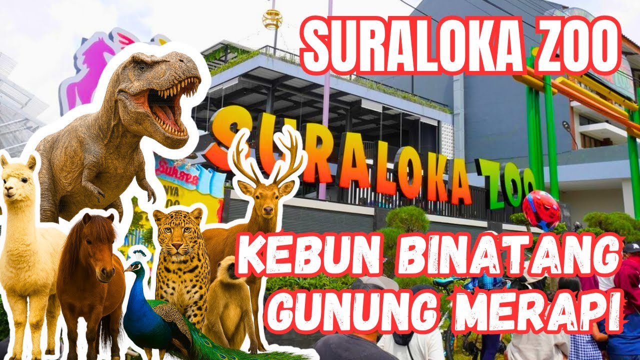 SURALOKA ZOO - KEBUN BINATANG DI GUNUNG MERAPI,  HTM GRATIS BAGI PEBGUNJUNG HOTEL