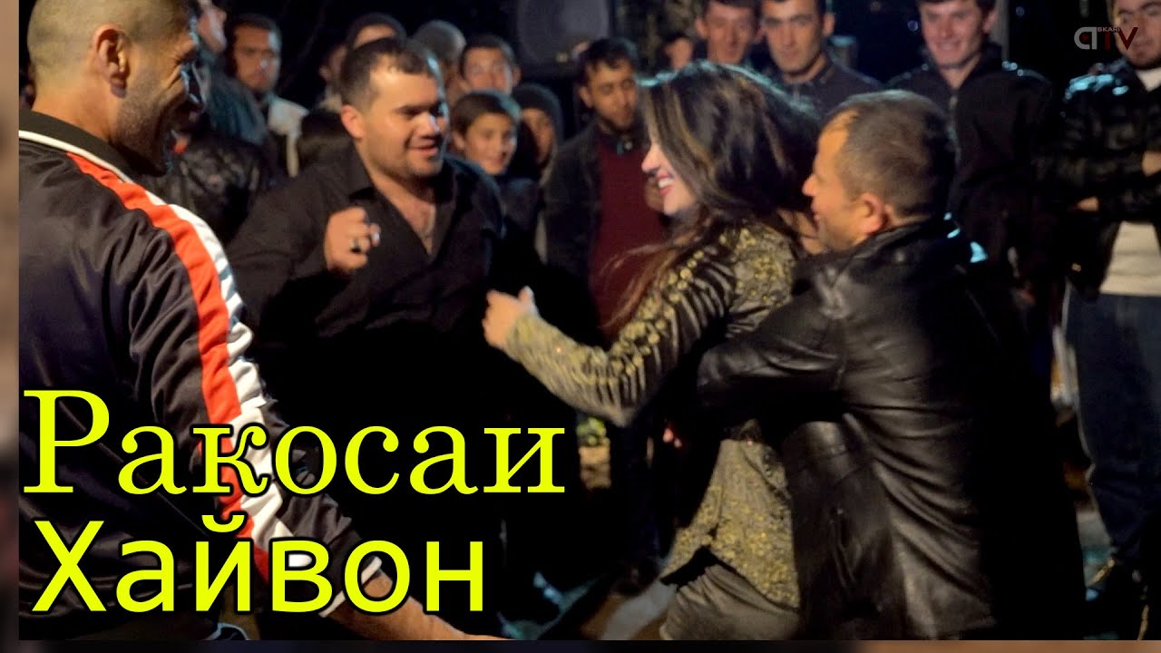 Ракосаи Хайвон бдай бачора девона кард