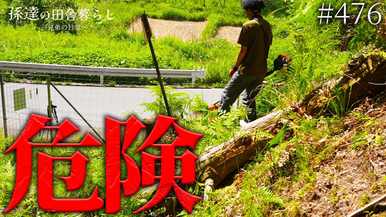 【危険】急斜面な山の草刈りに大苦戦…雑草まみれの入り口が見違えるほど綺麗に⁉︎ #476