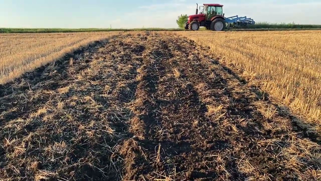 Стерневий культиватор Lemken smaragd 9 випробування по стерні пшениці МТЗ 1523