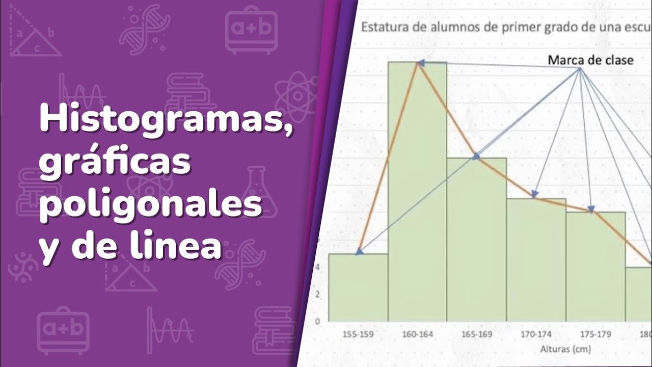 Histogramas, gráficas poligonales y de linea • SYPC • 2º grado | Video académico