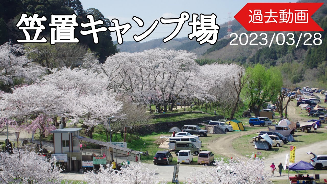 【過去動画】⑪2023.03.28笠置キャンプ場の桜 サクラ SAKURA 桜並木が美しい2023 3 28