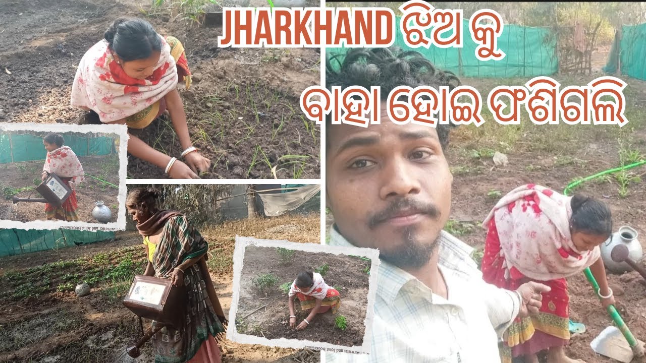 Jharkhand ଝିଅ କୁ ବାହା ହୋଇ ଫଶିଗଲି
