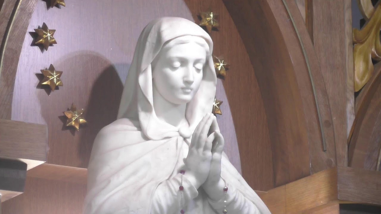 Харківсько-Запорізька дієцезія РКЦ – transmisja na żywo