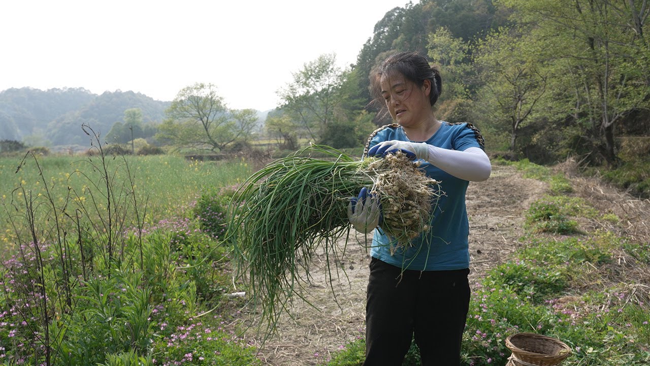 Stir-fried bacon with wild onions【乡野莲姐XiangYe Lianjie】