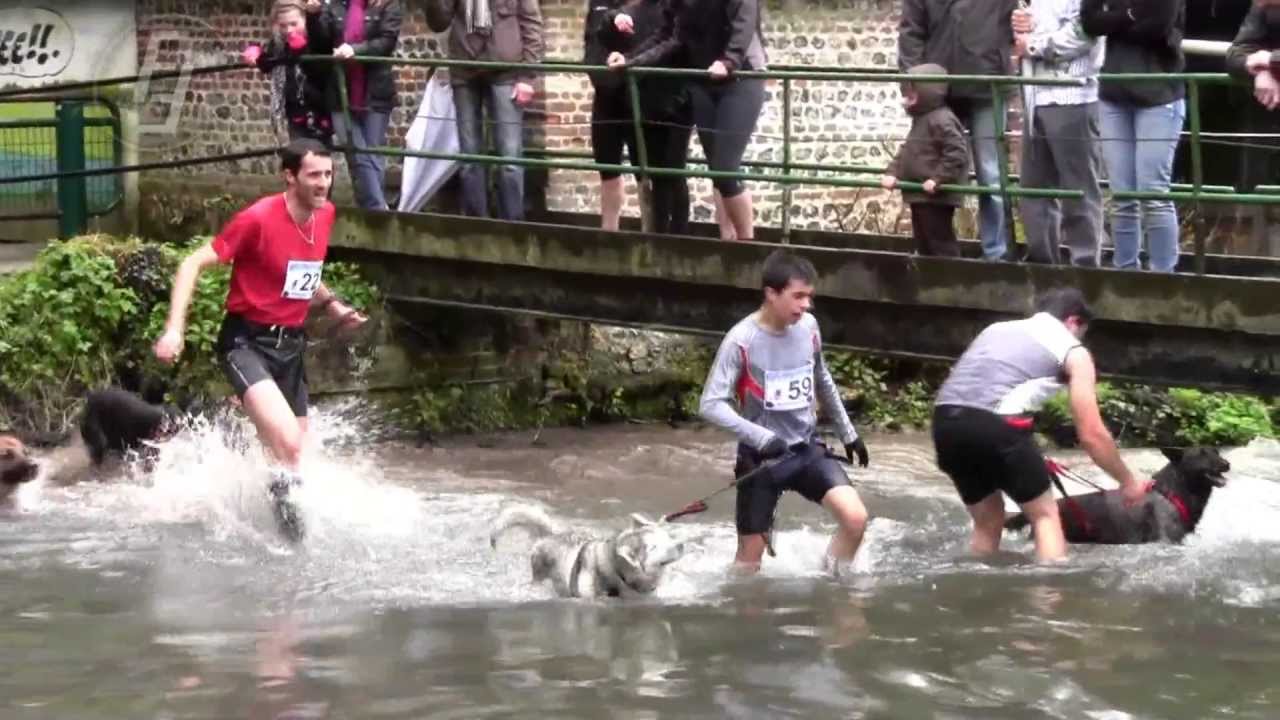 Courses Arques la bataille 9 avril 2012 (Cani-Cross - Cani-VTT - Trail...)