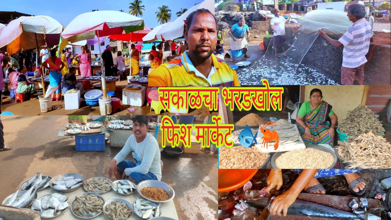 भरडखोल फिश मार्केट मधील सकाळचा मावऱ्याचा लिलाव l fish#भरडखोल