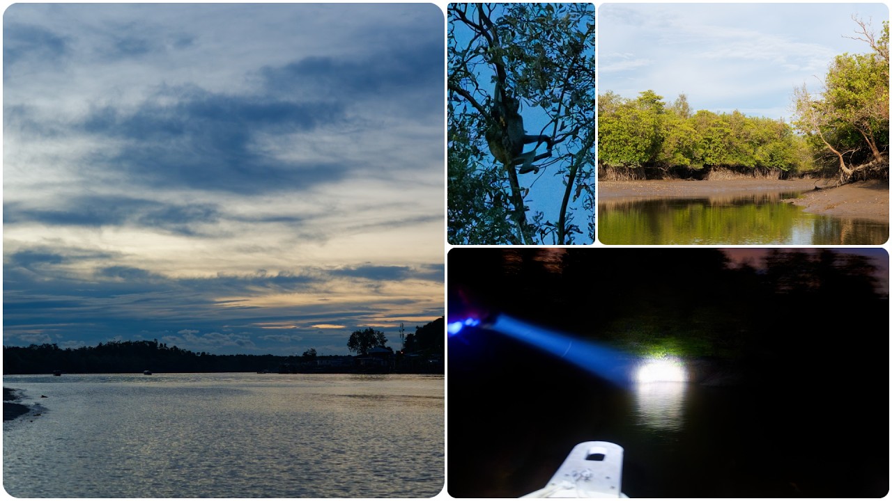 Night Mangrove Exploration - Kuching Wetlands Sarawak Malaysia