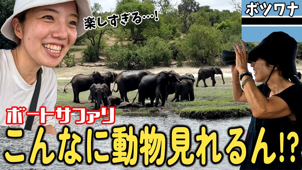 【サファリ】ボツワナのチョベ国立公園のボートサファリで、動物が続々登場…!?