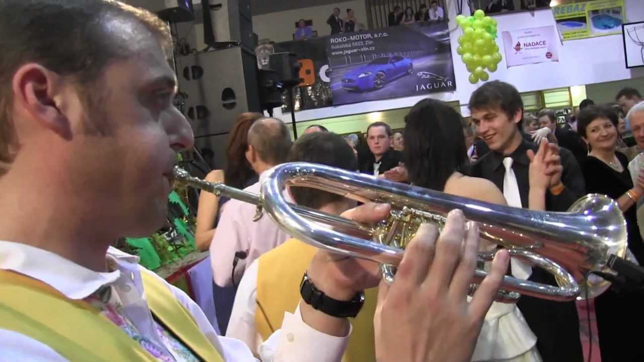 Uplynulou sobotu hráli na Vinařském plese v Hluku i 