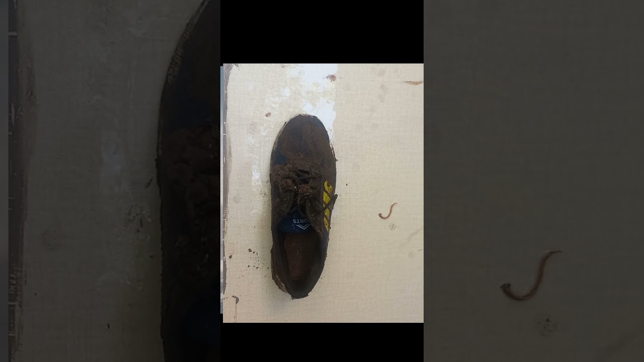 Wash the  dirty shoes 