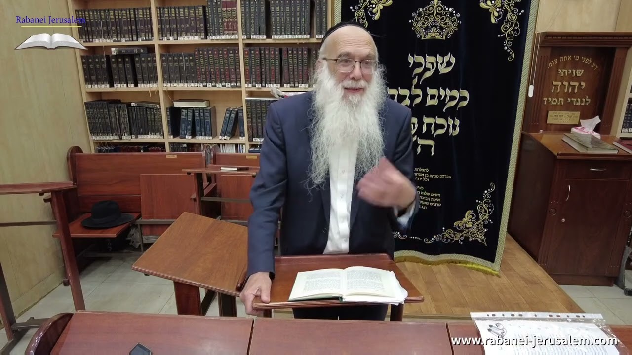 הגאון הרב משה פטרובר - אמונה ובטחון - פרק 11 - על ספר חזון איש