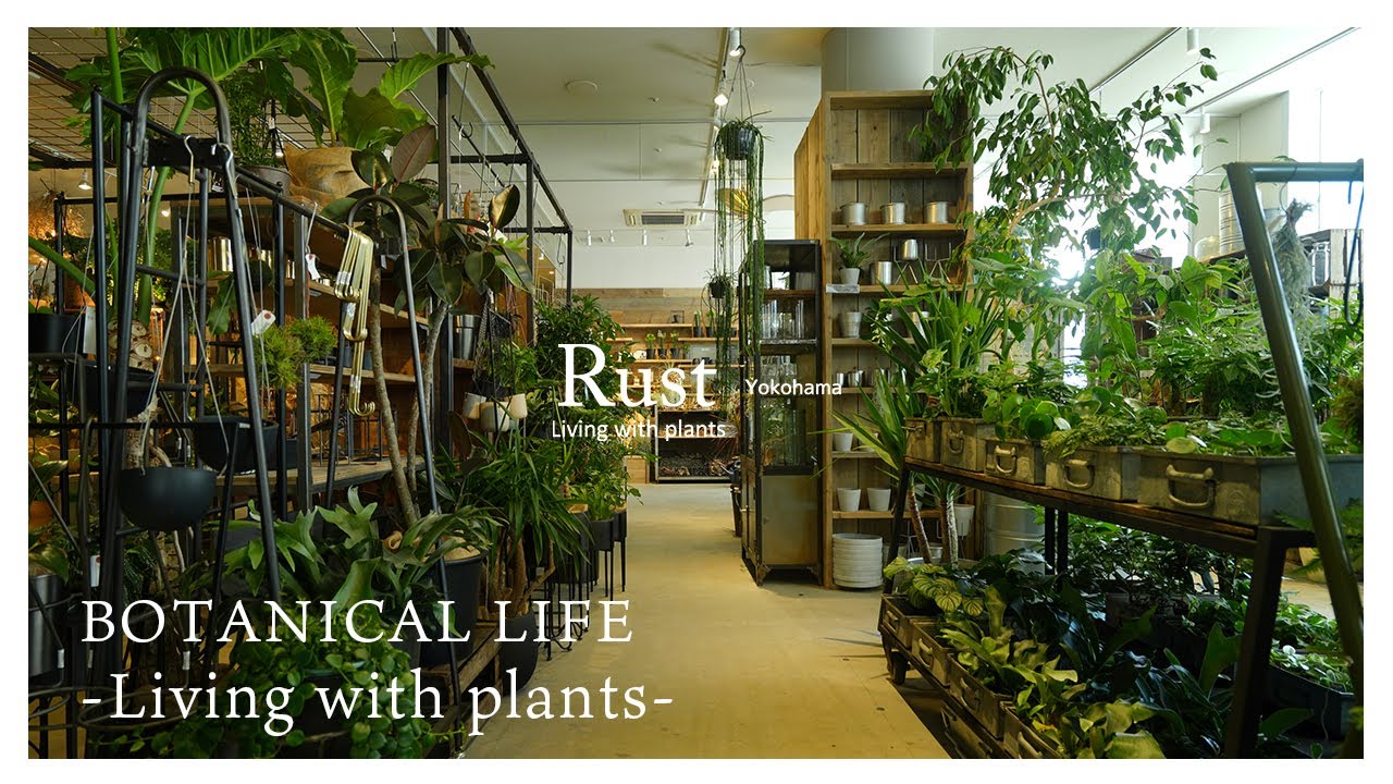 【観葉植物】洗練された「大人の園芸店」が横浜エリアに新オープン！｜Rust Yokohama｜神奈川｜横浜｜植物店巡り｜横浜ベイクォーター｜BAY QUARTER YOKOHAMA