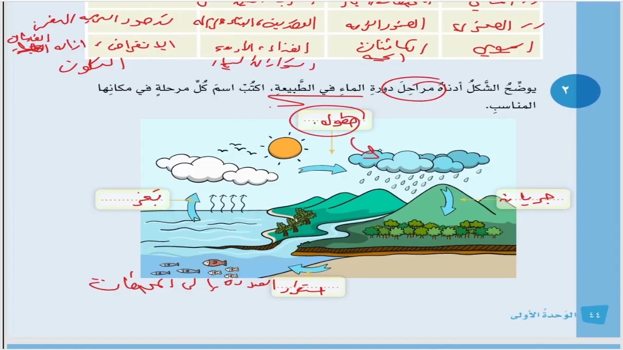 حل اسئلة اقيم تعلمي الاغلفة لكوكب الارض و الموارد الطبيعية  الدراسات الاجتماعية  الخامس  العماني