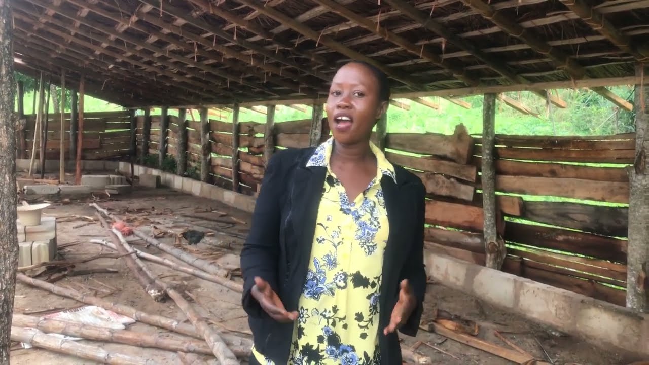 MAMBO MUHIMU YAKUZINGATIA WAKATI WA KUJENGA BANDA LA KUKU