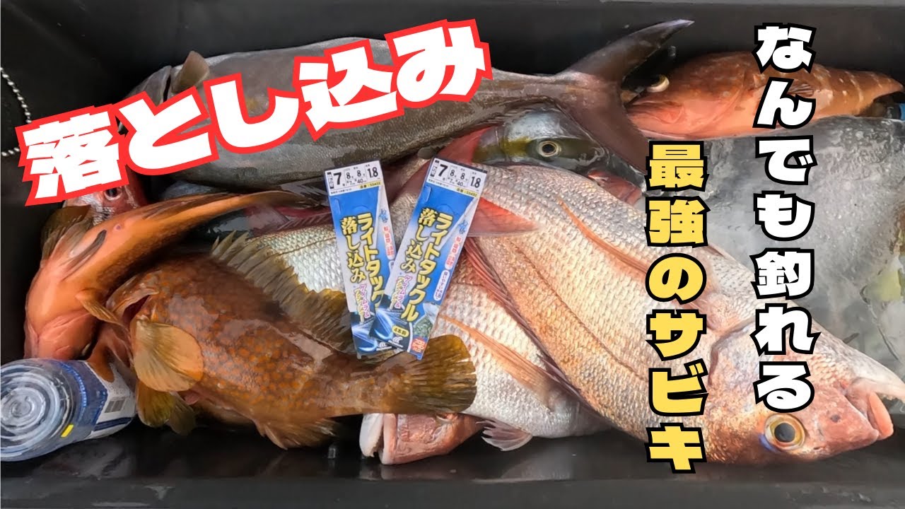 【落とし込み】この釣り楽しすぎる　凄腕船長の船で高級魚祭り