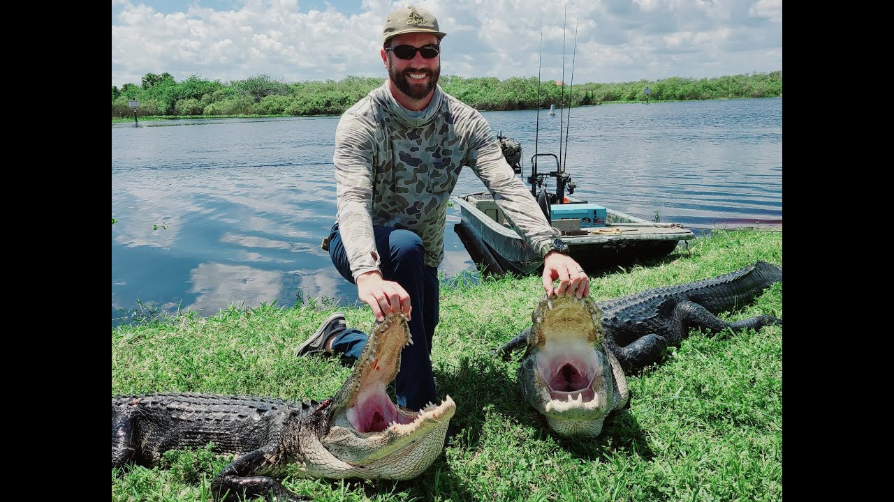 Florida gator hunting, 20' of gators to start off the season!