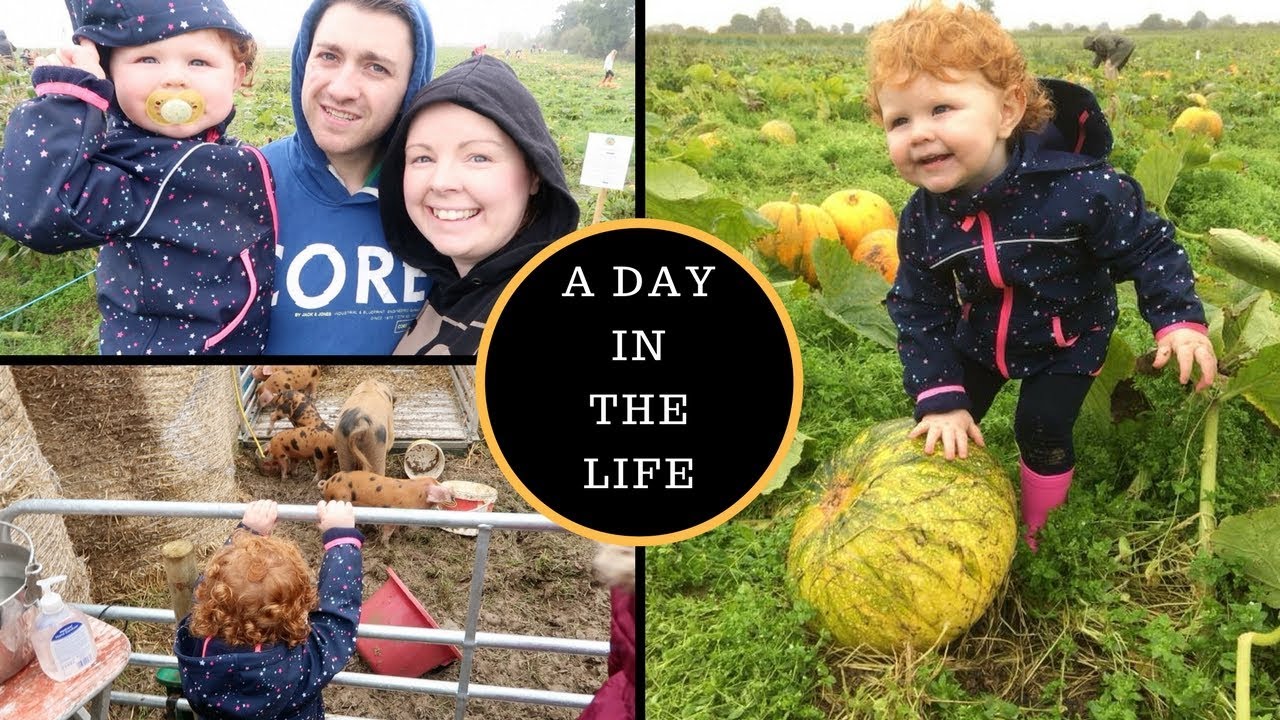 A DAY IN THE LIFE || STAY AT HOME MOM || PUMPKIN PATCH FUN