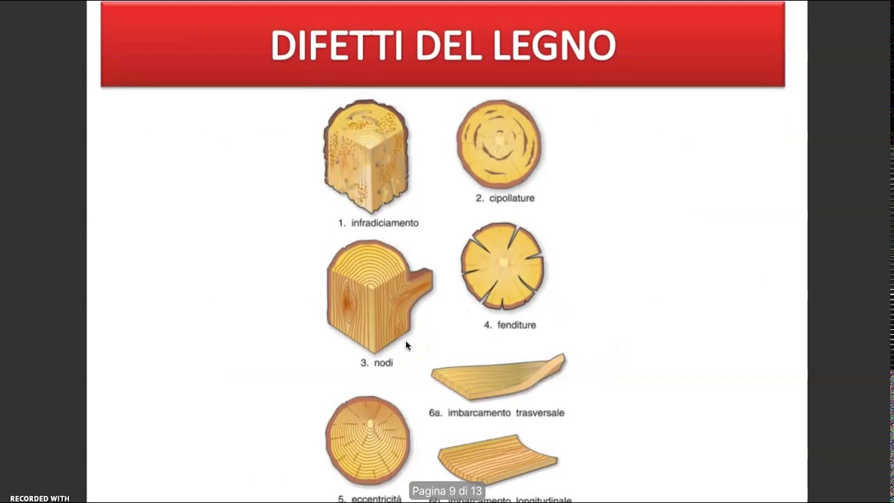 Proprietà del legno (PARTE 1)